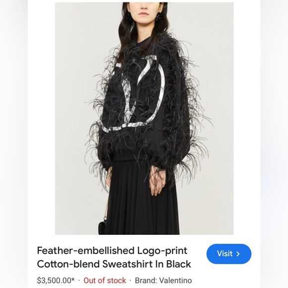 Valentino Garavani ostrich feather hoodie - Picture 8 of 10